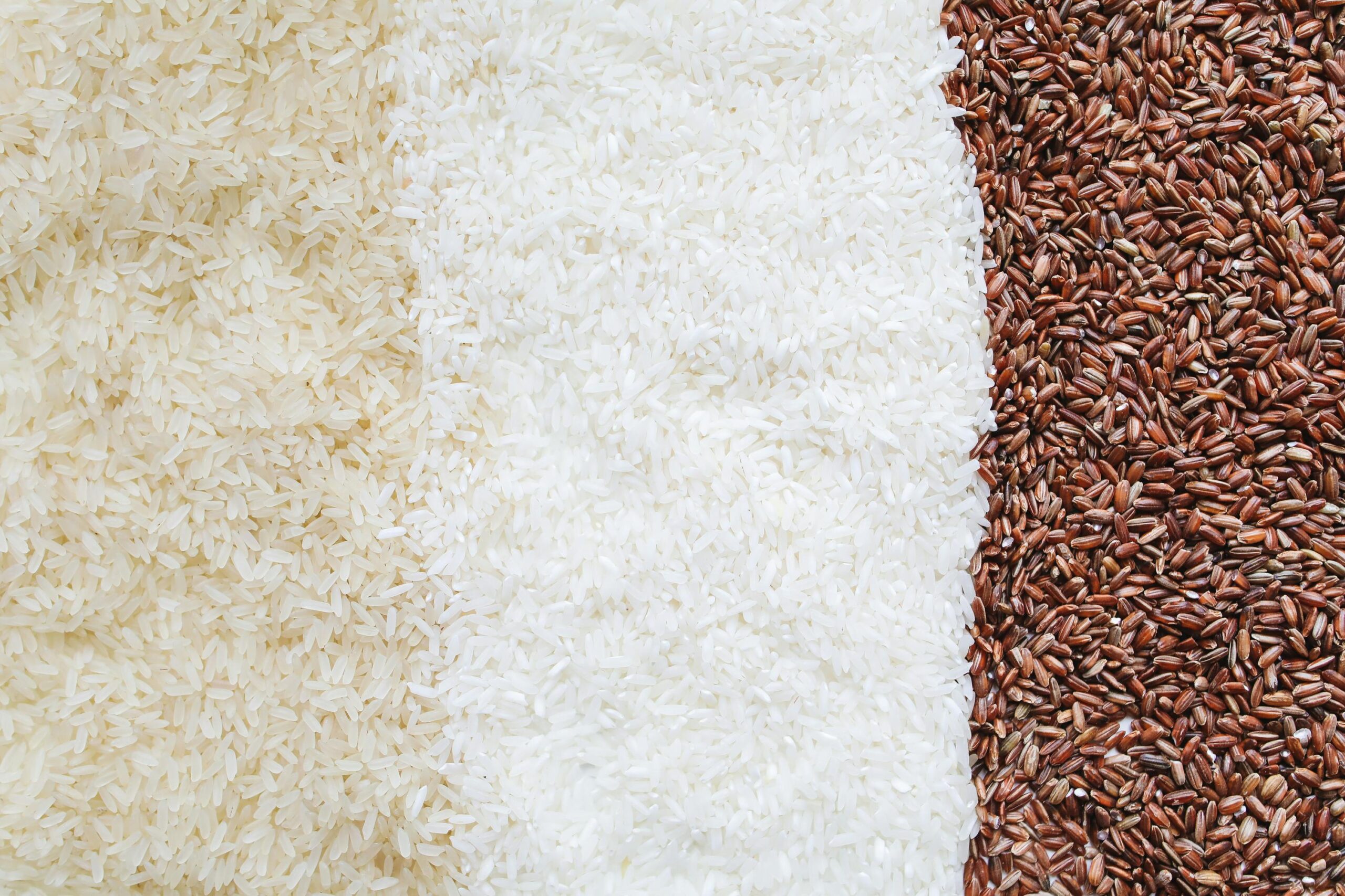 World of Premium Quality Rice.